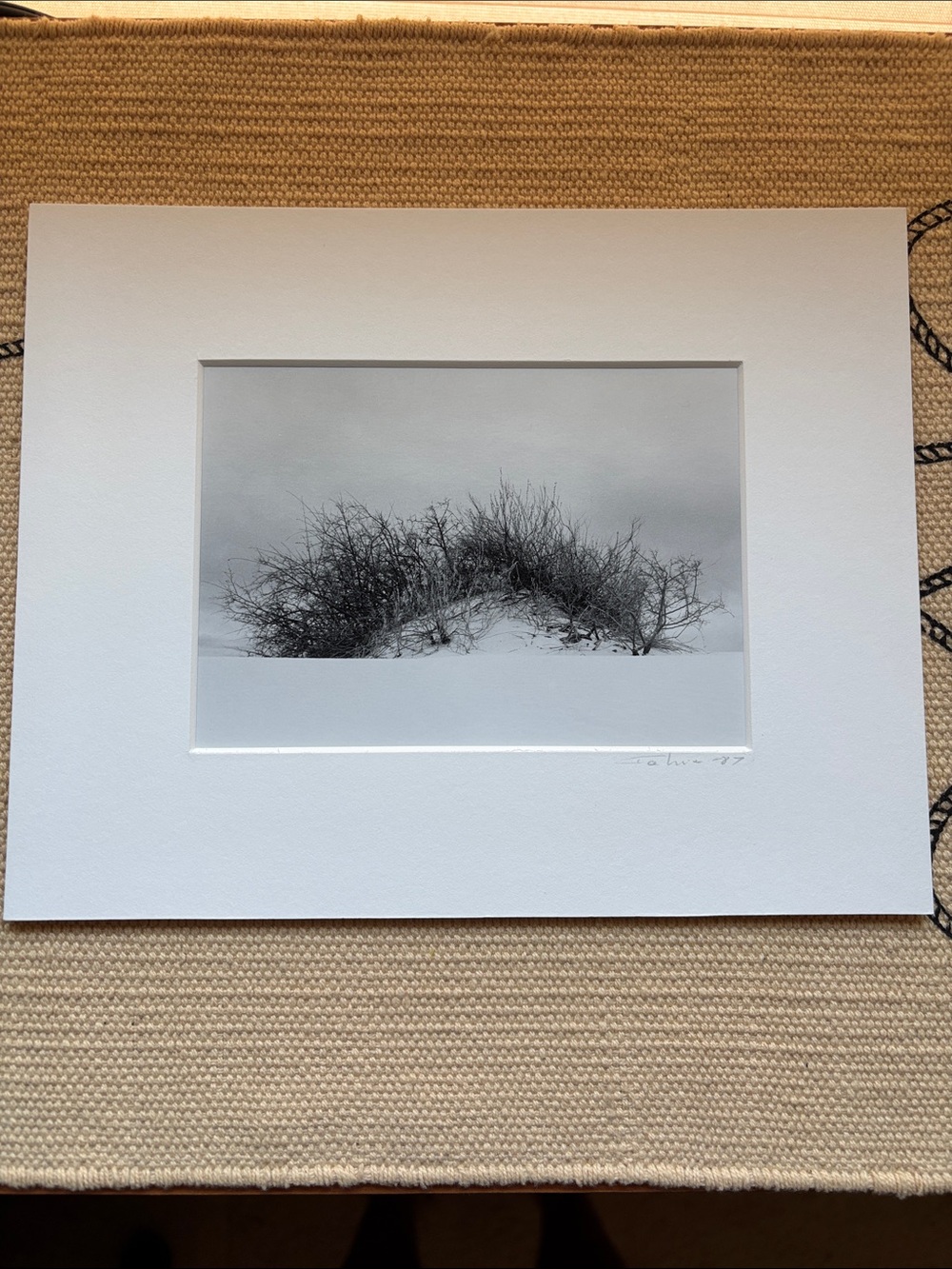 Black and White Dune Grass Photography Print in White Mat
